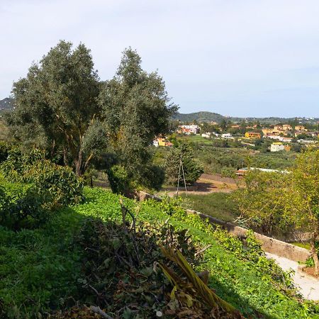 Live Finca El Gamonal Bajo Con Piscina Y Jardin En La Naturaleza Santa Brígida Extérieur photo