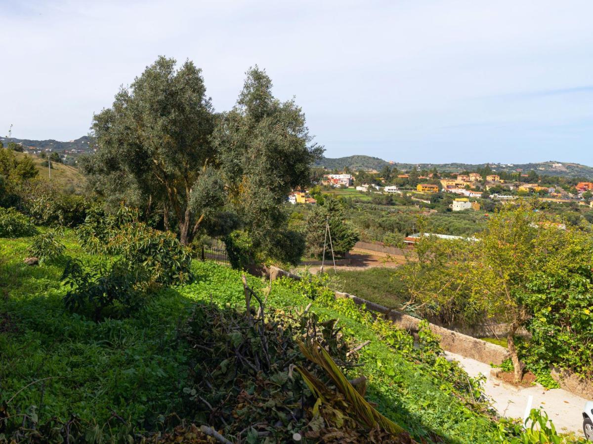 Live Finca El Gamonal Bajo Con Piscina Y Jardin En La Naturaleza Santa Brígida Extérieur photo