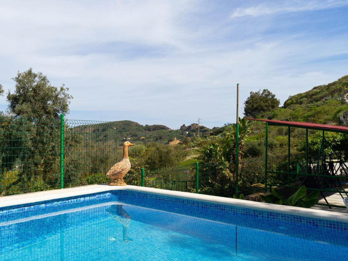 Live Finca El Gamonal Bajo Con Piscina Y Jardin En La Naturaleza Santa Brígida Extérieur photo